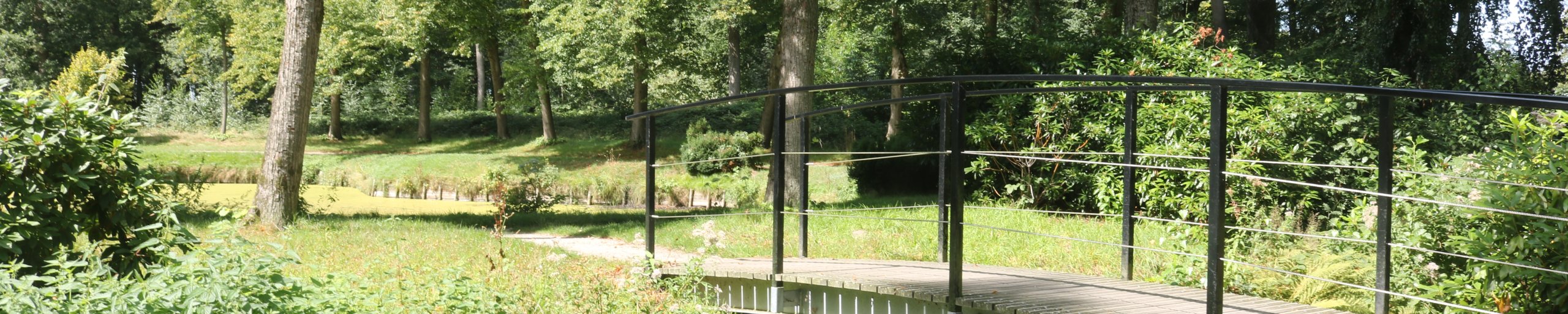 Landschap Hoevelaken
